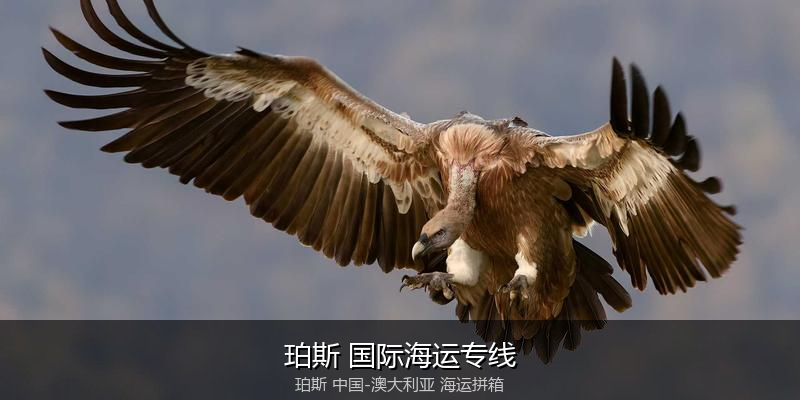 中澳海运跨境电商物流解决方案